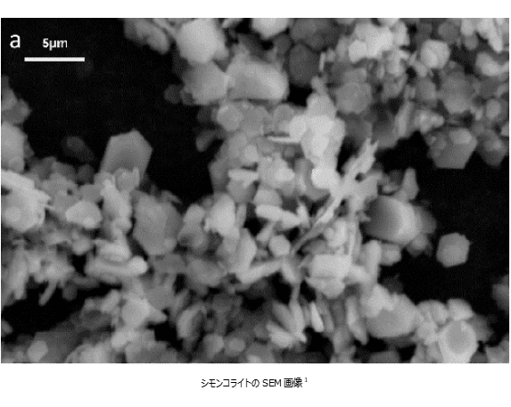 シモンコライト